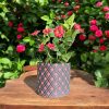 Cross Hatch Planter 4.5"