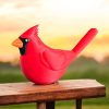 Cardinal - Image 3