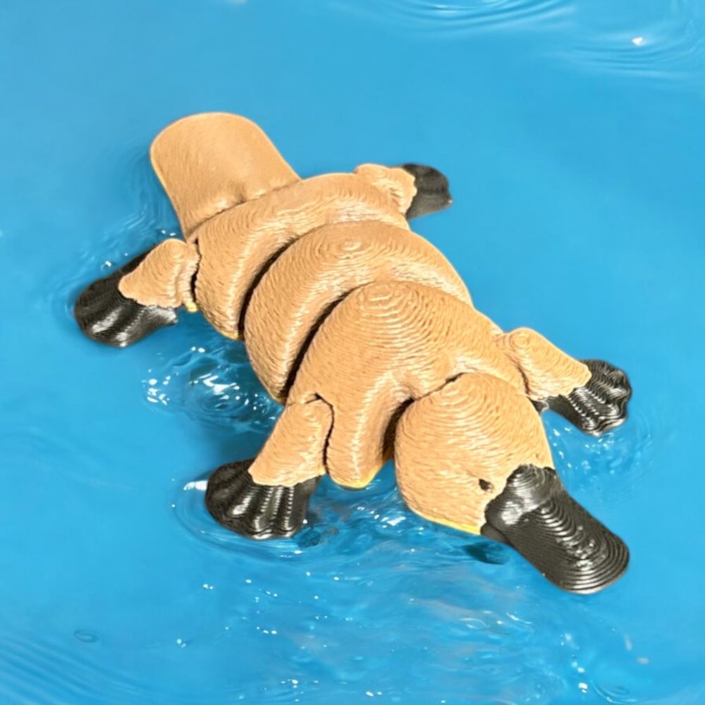 Flexi - Platypus - Articulating