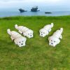 Flexi - Bichon - Articulating