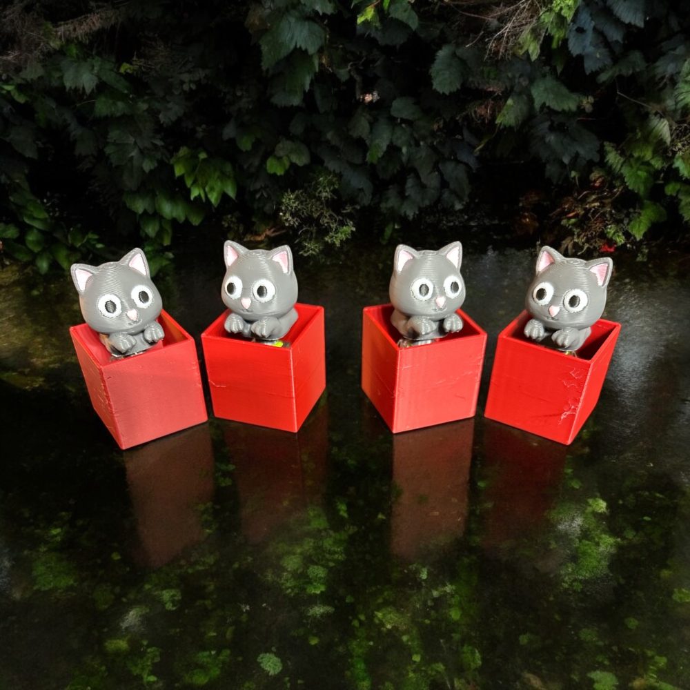 Kitty Fidget Box