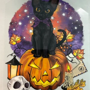 Black Cat Pumpkin