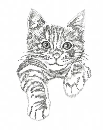 Cat Sketch Pattern