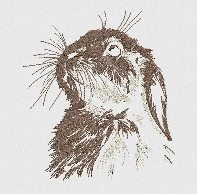 Lop Bunny Pattern