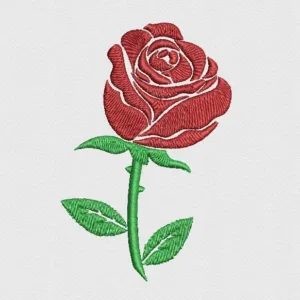 Rose Pattern