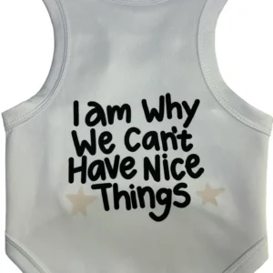 We Can't Have Nice Things
